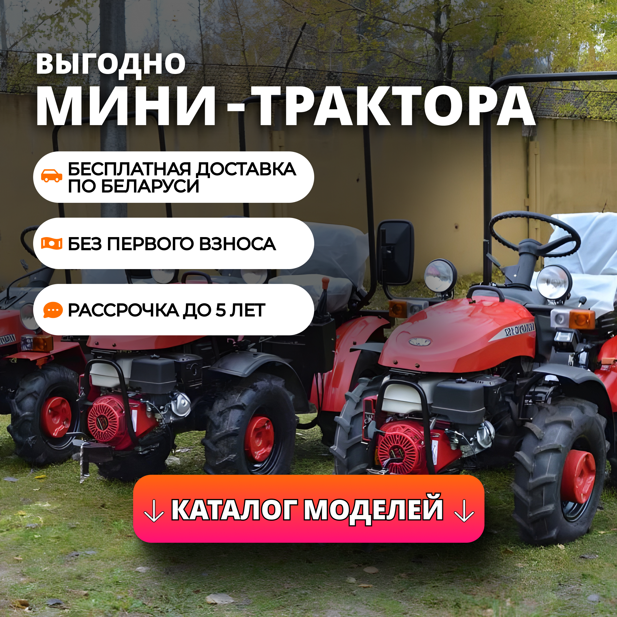 Спецпредложение